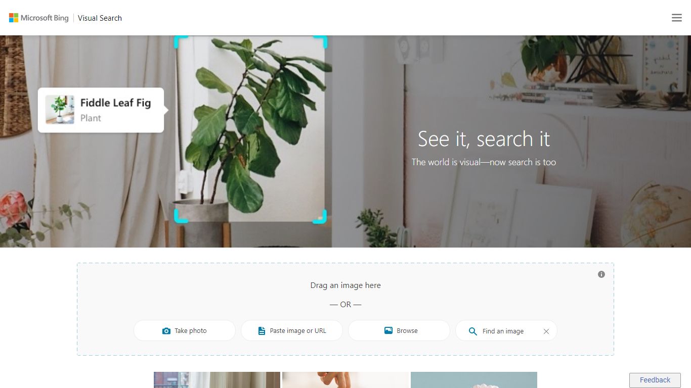 See it, search it | Bing Visual Search